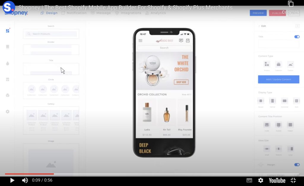 How to Turn Your Shopify Store into a Profitable App