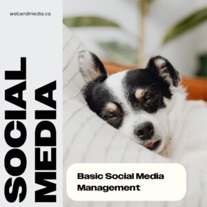 Social Media - Monthly MGMT